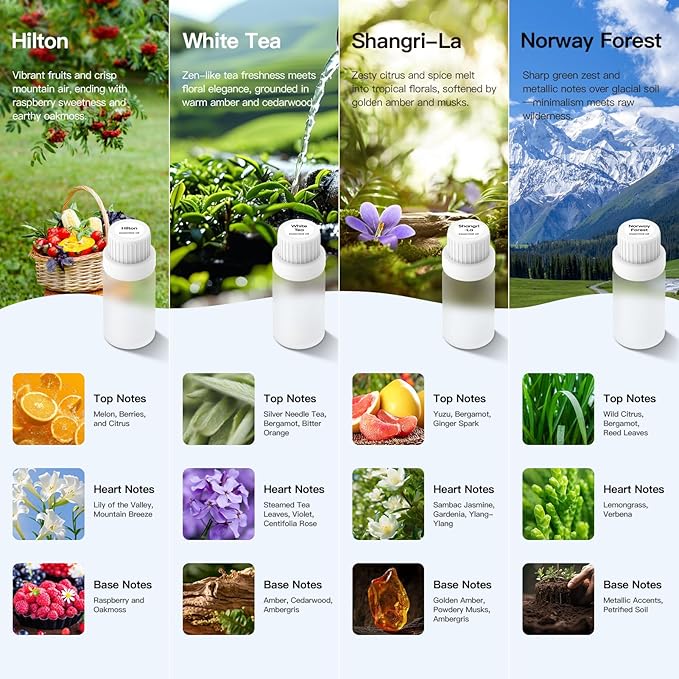 Waterless Essential Oil Diffuser Starter Kit with 4 x 10mL Fragrance Scent Oil, Smart Auto On/Off Car Diffuser Air Freshener, 1/8/24H Timer& 2 Mist Levels Scent Diffuser for Car(Sliver)