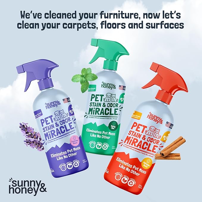 Sunny & Honey Upholstery Cleaner Spray - No Discoloration - Pet & Kid Safe Stain Remover - Multi-Surface Furniture & Sofa Cleaner Spray - Fast-Drying Pet Stain Remover (32 fl oz, Mint)