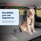 PetSafe Happy Ride Dog Zipline - Secure Backseat Mobility Dog Travel Restraint - Decreases Driver Distraction - Adjustable Strap & Quick-Release Tether Clips - Tool-Free Installation