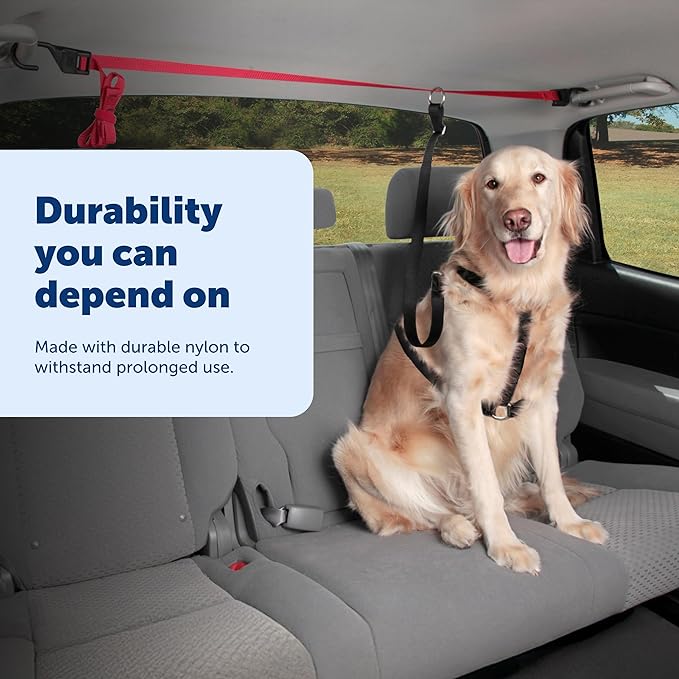 PetSafe Happy Ride Dog Zipline - Secure Backseat Mobility Dog Travel Restraint - Decreases Driver Distraction - Adjustable Strap & Quick-Release Tether Clips - Tool-Free Installation