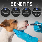 Activated Charcoal First Aid Kit Emergency Rescue for Dogs, Cats, Oral Paste for Dogs, Poisoning Kit, Oral Anti Diarrhea Digestive Paste Ready to Absorb Toxins