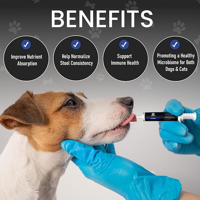 Activated Charcoal First Aid Kit Emergency Rescue for Dogs, Cats, Oral Paste for Dogs, Poisoning Kit, Oral Anti Diarrhea Digestive Paste Ready to Absorb Toxins