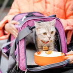 Mr. Pen- Pet Carrier, Pink, Soft-Sided Cat & Dog Carrier, Bag for Travel
