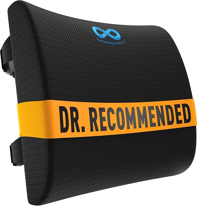 Everlasting Comfort Lumbar Support Pillow for Office Chair - Memory Foam Back Cushion for Car Seat - Promotes Better Posture, Back Pain Relief - Ideal Gaming and Desk Chairs Work and Home Essentials