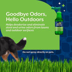 NaturVet – Yard Odor Eliminator – Eliminate Stool and Urine Odors from Lawn and Yard – Designed for Use on Grass, Plants, Patios, Gravel, Concrete & More – 31.6 oz Ready-to-Use with Nozzle