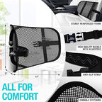 Lumbar Support - Breathable Mesh Office & Car Chair Back Support with Double Adjustable Straps for All-Day Comfort