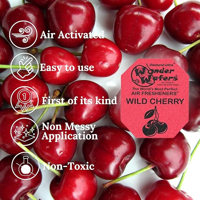 Wonder Wafers 250 Count Unwrapped Automobile Professional Use Air Fresheners Car and Truck Detail (Wild Cherry)