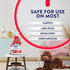 Resolve Pet Specialist Carpet Cleaner Spray – for Removal of Pet Stains & Odors Up to 7 Days Old, 22oz