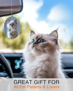 Ragdoll Kitten - Cat Car Air Freshener - Cute Hanging Daisy Cat Decor Black Ice Scent, Infusible with Your Own Scent, Pet Safe, Non-Toxic, Freshener for Car, Closet, Office Size - 3x4"