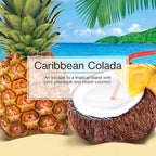 LITTLE TREES Vent Wrap | Car Air Freshener | Caribbean Colada | Pack of 4