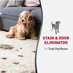 Nature’s Miracle Advanced Stain and Odor Eliminator Dog Spray, Fresh Scent, Severe Mess Enzymatic Formula for Tough Pet Messes, 32 Ounces, Red