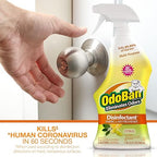 OdoBan Ready-to-Use Disinfectant and Odor Eliminator, Made in the USA, Citrus Scent, 32 Ounce Spray Bottle