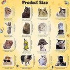 Funny Car Air Freshener Card - 16Pcs Cute Cat Refresh Air Fragrant Scented Rearview Mirror Hanging Ornaments, Double Sided Printing Kitten Oil Scent Pendant Gift for Home Bathroom Decor
