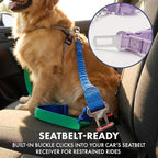 Spark Paws Handsfree Dog Leash – Shock Absorbing Waist Bungee Lead for Running, Car Seatbelt Clip & Poop Bag Set, Heavy Duty Tactical Lead for Medium, Large & X-Large Breeds - Lilac