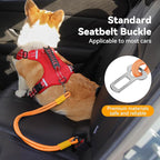 2-in-1 Dog Car Seatbelt Leash & Walking Lead - Heavy Duty 70CM Nylon Rope Leash with Secure Vehicle Buckle for Small Medium Large Dogs, for Travel, Walking, Training