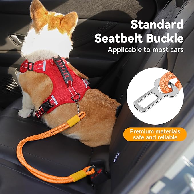 2-in-1 Dog Car Seatbelt Leash & Walking Lead - Heavy Duty 70CM Nylon Rope Leash with Secure Vehicle Buckle for Small Medium Large Dogs, for Travel, Walking, Training