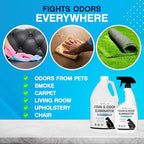 NonScents Stain & Odor Eliminator - Pet Odor & Stain Remover for Dog and Cat Urine - Fragrance Free (1 Gallon) (Pack of 2)