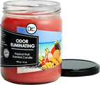 Tropical Fruit Odor Eliminating Highly Fragranced Candle - Eliminates 95% of Pet, Smoke, Food, and Other Smells Quickly - Up to 80 Hour Burn time - 12 Ounce Premium Soy Blend