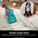 Shark CarpetXpert HairPro | Upright Carpet, Area Rug & Upholstery Cleaner | StainStriker Handheld Tough Stain Remover & Onboard Self Clean | Pet Hair Pickup & Odor Removal | 5 Tools | Navy | EX304