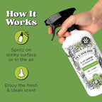Pet-Pourri Air + Fabric Purrfectly Bamboo Cat & Home Deodorizer Spray, 16 Fl Oz, Up to 800 Uses, Pet Odor Remover with Essential Oils, for Air, Carpet, Urine, Vet Recommended, Bamboo, Jasmine & Pear