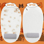 Abbylike 6 Pcs Pet Hair Remover Pumice Stone Car Pet Hair Removal Tool for Bedding Carpet Couch Furniture Cleaning (5.3 x 2 x 1.4 Inch,Gray)