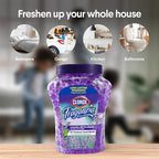 Clorox Fraganzia Crystal Beads Air Freshener Twin Pack, Long Lasting Room Deodorizer and Odor Eliminator Gel Beads for Home, Car, or Office, Lavender with Eucalyptus Scent, 24 Fl Oz