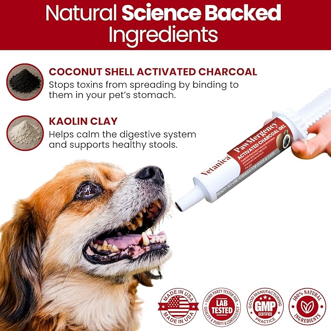 PawMergency – Activated Charcoal First Aid Kit Emergency Rescue 2 Pack for Dogs, Cats, Puppy & Pet Poison Kit, Camping Survival Remedy Essential, Oral Anti Diarrhea Digestive Absorb Toxins