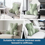 Lumbar Support Pillow (Pat. Pend) for Couch & Recliner, Ergonomic Chair Back Support for Lower Back Pain Relief, Back Support for Couch, with Adjustable Strap to Stay in Place, Celadon Green