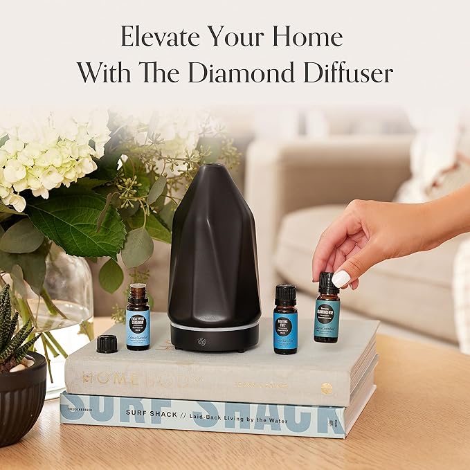 Edens Garden Aromaride Clip-On Car Essential Oil Diffuser Portable Air Freshener with 4 Scent Sticks, Vent Clip Accessory, Essential Oil Diffuser Black