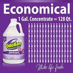 OdoBan Disinfectant Concentrate and Odor Eliminator, Made in the USA, Lavender Scent, 1 Gallon