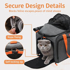 Cat Pet Carrier Soft Sided Bag Airline Approved, Foldable Travel Large Carrier for Small Kittens Medium Cats Up to 13 Lbs, Expandable Carrying Case for Car, Comfortable for Transport