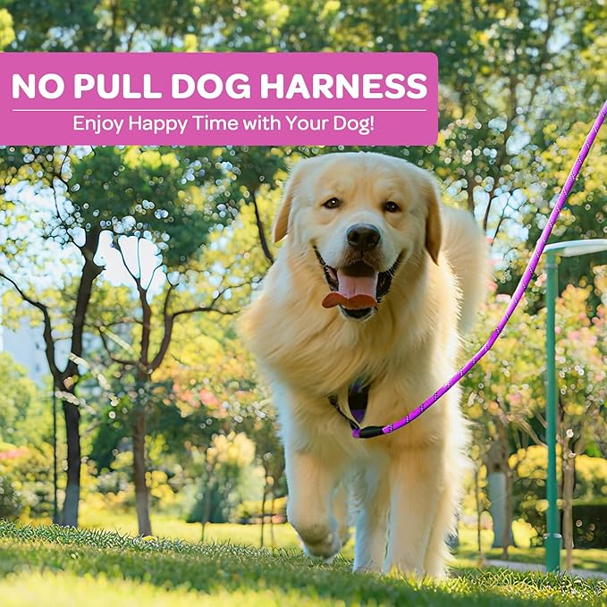 FURRYFECTION Plaid Dog Harness for Small Dogs, Reflective No Pull Adjustable Pet Vest with Front Clip, Leash, Easy Control Handle and Seat Belt, Rose, S