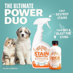 Angry Orange Pet Odor Eliminator Concentrate for Cat Urine and Smells - Fresh Scent - 8 oz (Makes 128 oz of Cleaner)