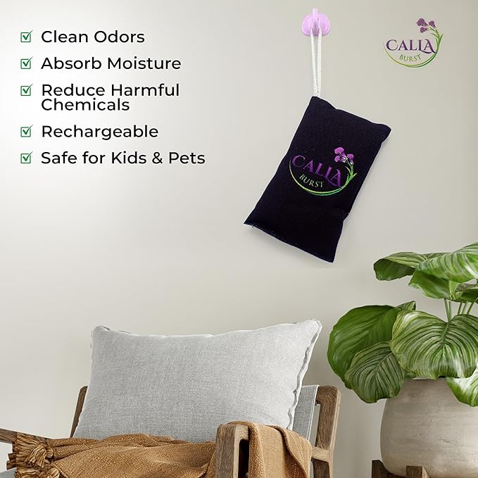 Charcoal Odor Absorber bag (4 Pack - 60 Gram with Hanger)