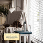 Begley's Pet Stain and Odor Remover - Pet Odor Eliminator for Home - Pet Urine Enzyme Cleaner - Pet Carpet Cleaner for Pets - Enzymatic Cleaner for Dog Urine, Cat Pee, Feces - 24 Ounce, 2 Pack