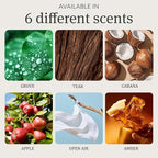Car Air Freshener - Stone Air Freshener - Car Odor Eliminator - Long Lasting Scent - Car Scent - VISOR CLIP INCLUDED (Amber/set)