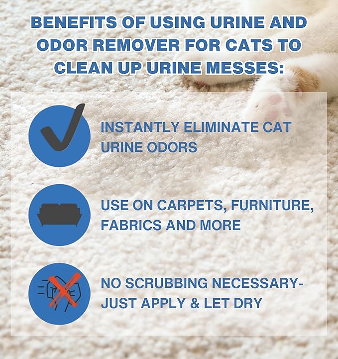 Instantly Cat Urine Odor Remover & Eliminator Cleaning Solution, Oxidizer Based Pee Cleaner Solution & Deodorizer for Carpets, Outdoor Rugs, Rugs, Mattress, etc. 2-128 oz Gallons