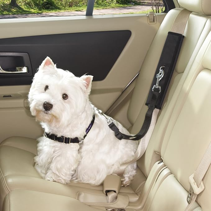 Guardian Gear Ride Right Seat Belt Connectors — Polyester Seat Belt Connectors for Dogs, Black