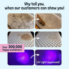 Sunny & Honey Carpet Cleaner Solution - Deep Stain Remover & Odor Deodorizer - Pet Carpet Cleaner & Rug Shampoo (32 Fl Oz, Light Lavender)