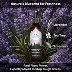 Lumi Outdoors Natural Shoe Deodorizer Spray 3 Pack Bundle - Lemon Eucalyptus, Citrus Tea Tree, Lavender Tea Tree