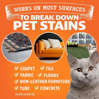 ANGRY ORANGE Cat Urine Odor Eliminator & Stain Remover, Pet Stain Enzyme Cleaner Spray for Dog & Cat Pee - Fresh Scent - 32 oz