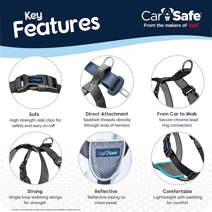 CarSafe Dog Travel Harness - Safely Secure Dog in car, ensures Road Laws and Insurance Terms When Travelling with Your pet. for Toy, Small, Medium and Large Dogs (Size X-Small)