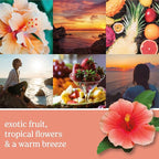Yankee Candle ScentPlug Refill, Cliffside Sunrise (Pack of 6)