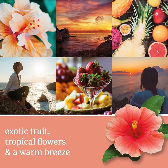 Yankee Candle ScentPlug Refill, Cliffside Sunrise, Electric Air Freshener Plugin for Continuous Home Fragrance and Odor Neutralization, Exotic Fruit and Amber Scent, 0.625 Fl Oz (Pack of 2)