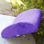 Bookishbunny 2pc High Resilience Memory Foam Seat Chair Waist Lumbar Back Support Cushion Pillow Car Office Home (Purple)
