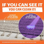 ANGRY ORANGE Pet Odor Eliminator Kit for Dog/Cat Urine - Citrus - 24 oz + UV Flashlight