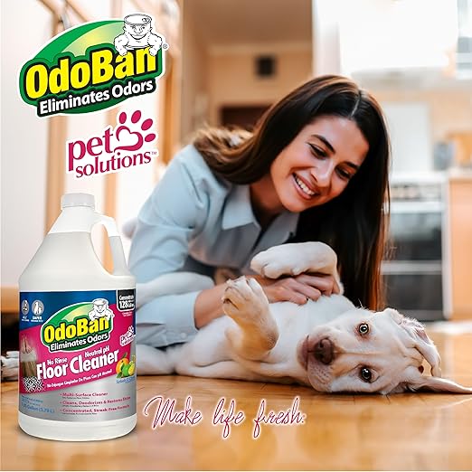 OdoBan 2-Gallon Pet Floor Cleaner and 3-Pack 14oz Citrus Odor Absorbers Bundle