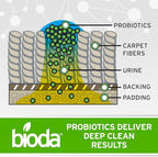 Bioda Pet Stain and Odor Eliminator | Pet Urine Enzyme Cleaner | Stain Remover | Urine Odor Eliminator | Carpet & Couch Cleaner | Made in USA | 1 Gallon