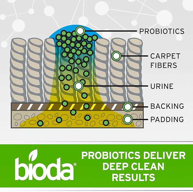 Bioda Commercial Strength Enzymatic Stain & Odor Eliminator for Pets | Industrial-Grade Formula Removes Dog and Cat Urine | USA Made Carpet Spot Cleaner | 32oz Sprayer
