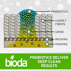 Bioda Commercial Strength Enzymatic Stain & Odor Eliminator for Pets | Industrial-Grade Formula Removes Dog and Cat Urine | USA Made Carpet Spot Cleaner | 32oz Sprayer